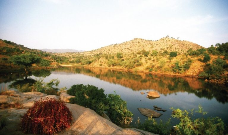 142833-koza-la-vallee-cultivee-mil