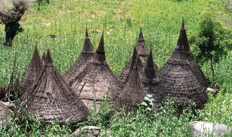 142847-koza-la-vallee-cultivee-mil