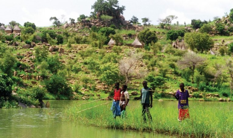 143173-koza-la-vallee-cultivee-mil