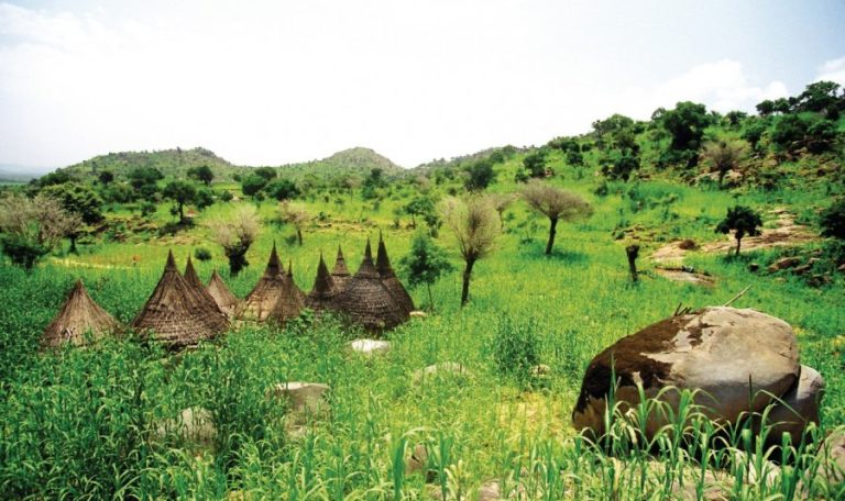 143281-koza-la-vallee-cultivee-mil