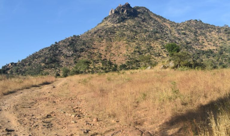 6728a7fc0f9dc_1730717692_Col de koza (1)