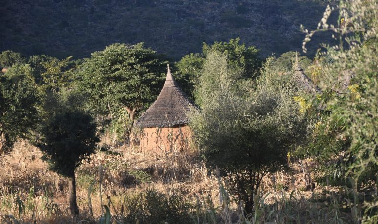 6728a866be67d_1730717798_Col de koza (3)